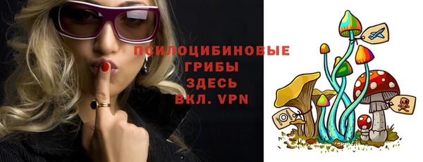 молекула духа Липки