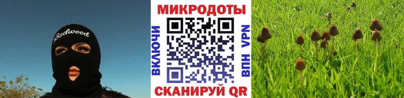 Псилоцибиновые грибы MAGIC MUSHROOMS  Купить закладки  Сорочинск 